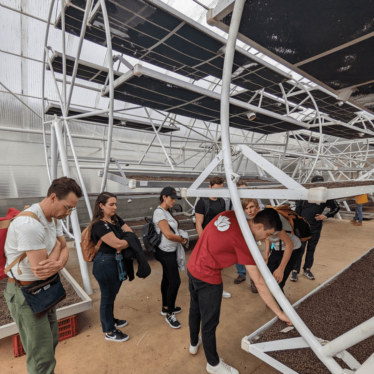 Coffee Origin Tour Colombia - 7 Days Specialty Coffee