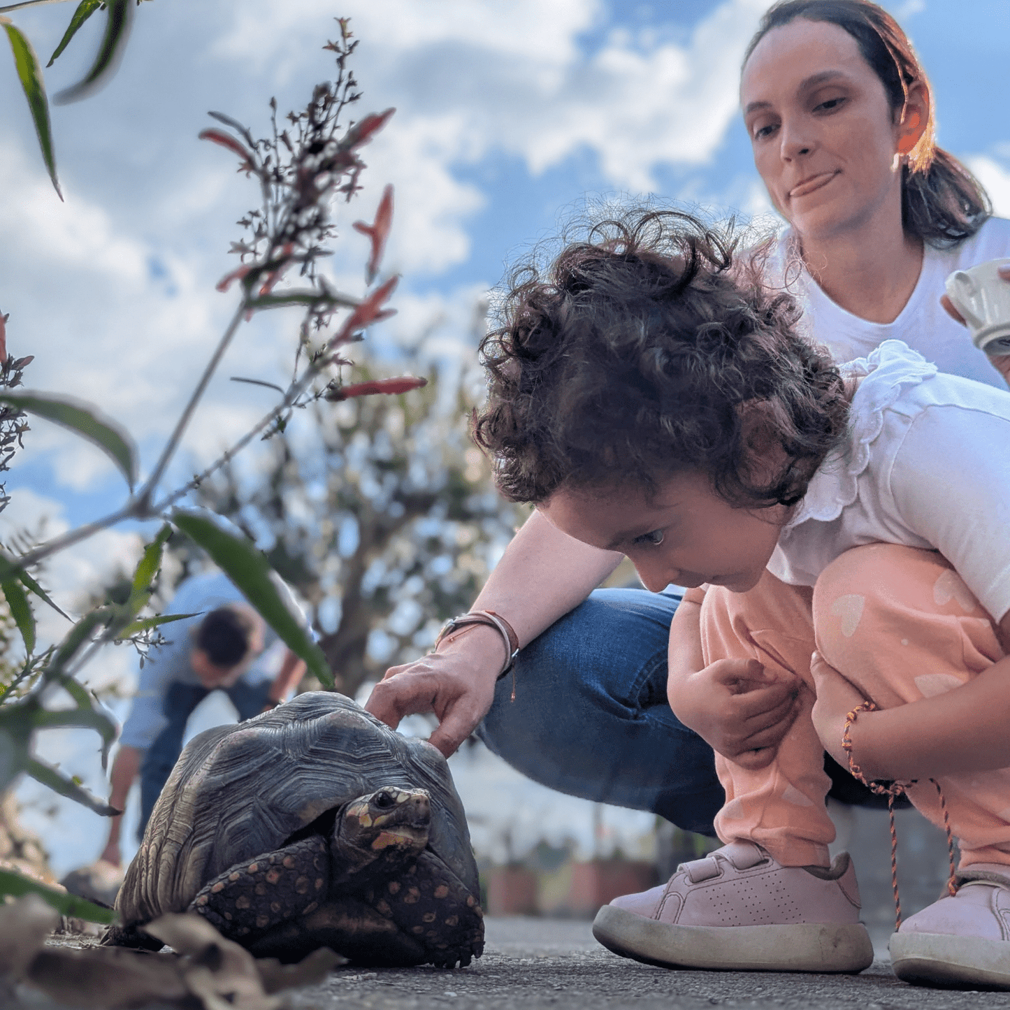Coffee Origin Tour Colombia - 7 Days Specialty Coffee