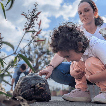 Coffee Origin Tour Colombia - 7 Days Specialty Coffee