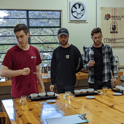 Coffee Origin Tour Colombia - 7 Days Specialty Coffee