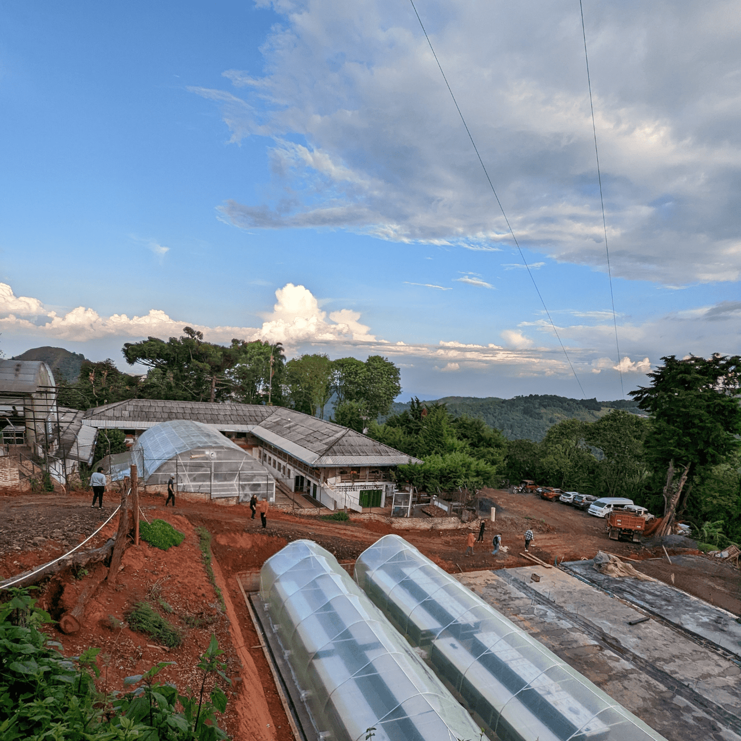 Coffee Origin Tour Colombia - 7 Days Specialty Coffee