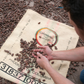 Olmecacao - Ceremonial cocoa / ritual cocoa - 100% raw cocoa mass 0.25kg (2x125g bars) 