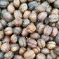 Rohkaffee - La Veranera  Caturra (natural anaerob)