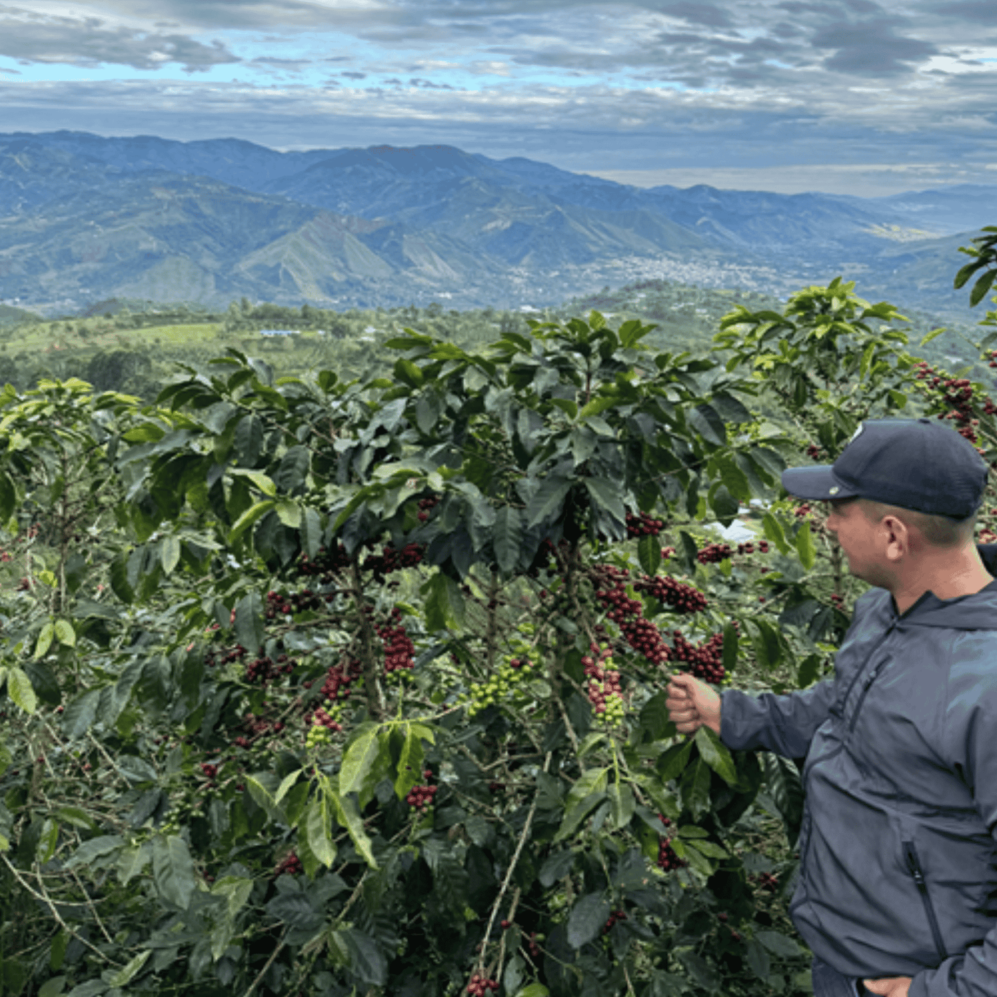 Tasting package - Colombia - La Esmeralda - Papayo - Natural