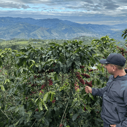 Tasting package - Colombia - La Esmeralda - Papayo - Natural
