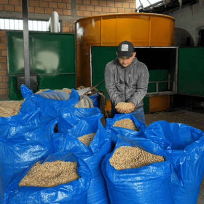 Tasting package - Colombia - La Esmeralda - Papayo - Natural