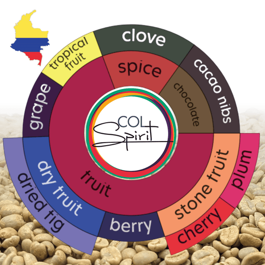 Rohkaffee - Kolumbien - El Silencio - Sara Gutierrez - Yellow Colombia - Natural Carbonic Maceration 168h