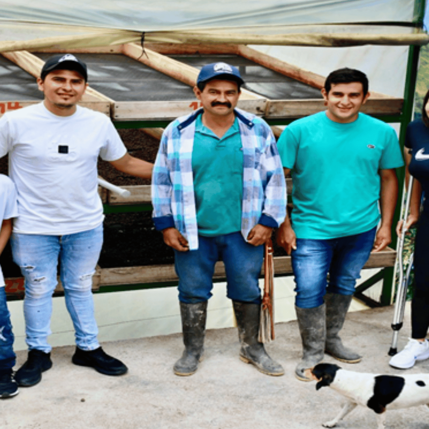 Sample pack - Colombia - La Moneda - Gesha/Geisha - Semi Washed