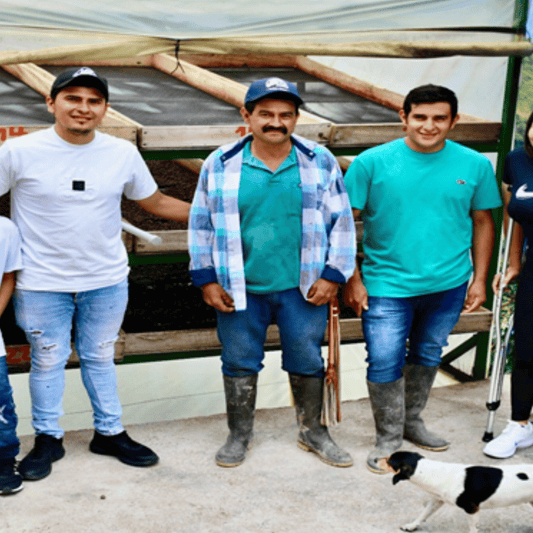 Sample pack - Colombia - La Moneda - Gesha/Geisha - Semi Washed