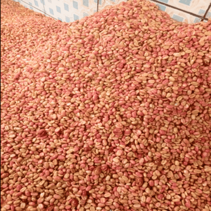 Sample pack - Colombia - La Moneda - Gesha/Geisha - Semi Washed