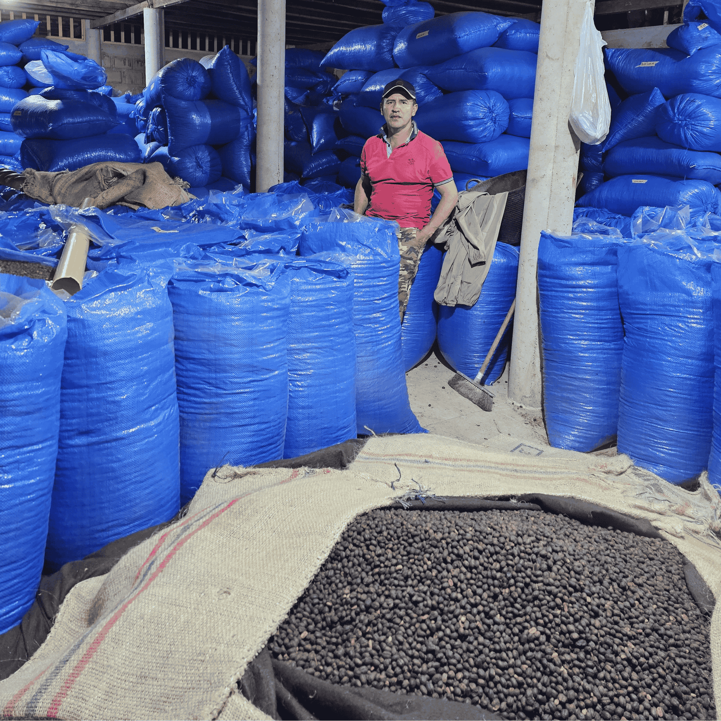 Probierpaket - Kolumbien - Las Brisas - Chiroso - Gewaschen