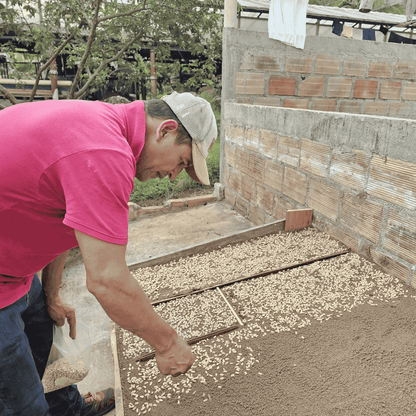 Probierpaket - Kolumbien - Las Brisas - Chiroso - Gewaschen