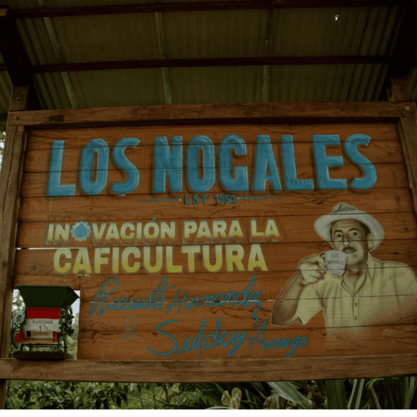 Probierpaket - Kolumbien - Los Nogales - Typica - DECAF (Low-Caf)