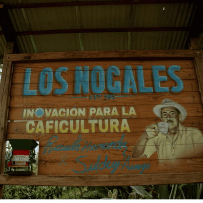 Probierpaket - Kolumbien - Los Nogales - Typica - DECAF (Low-Caf)
