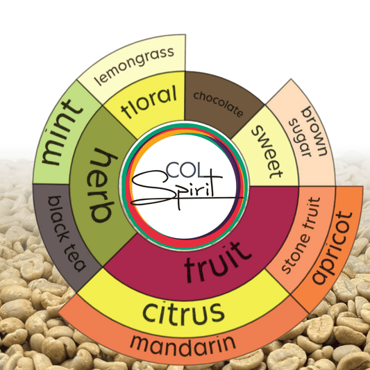 Green coffee - Colombia - Las Sirena - Castillo - Osmotic Dehydration Sensation - Honey - Co-fermentation