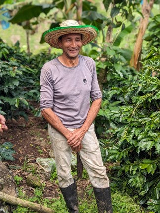 Rohkaffee - Kolumbien - Soto Blend - Caturra/Colombia - gewaschen